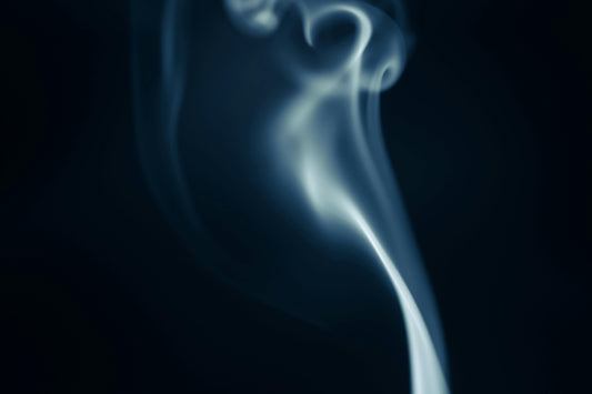 The Wood of the Gods: Mystery Behind Agarwood 沈香 and Its Soul in Japanese Incense