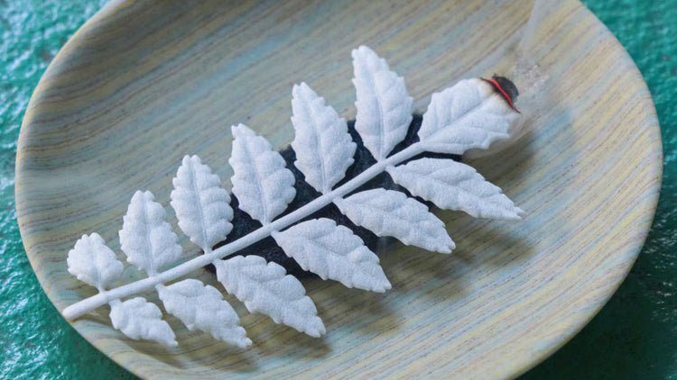 KUNJUDO INCENSE 薫寿堂 /'25 COLLECTION 03