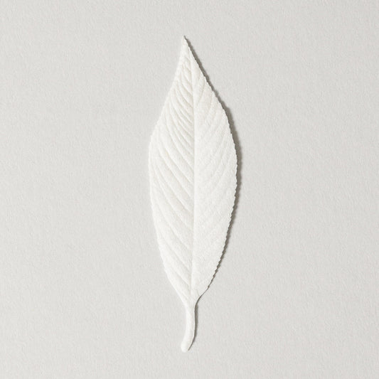 No.4 Moss, HA KO Paper Incense