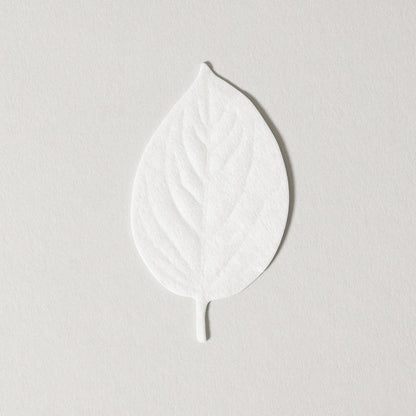 No.8 White Floral, HA KO