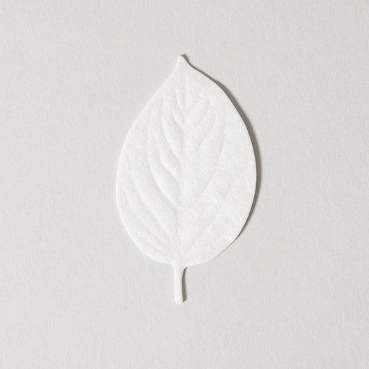 No.8 White Floral, HA KO