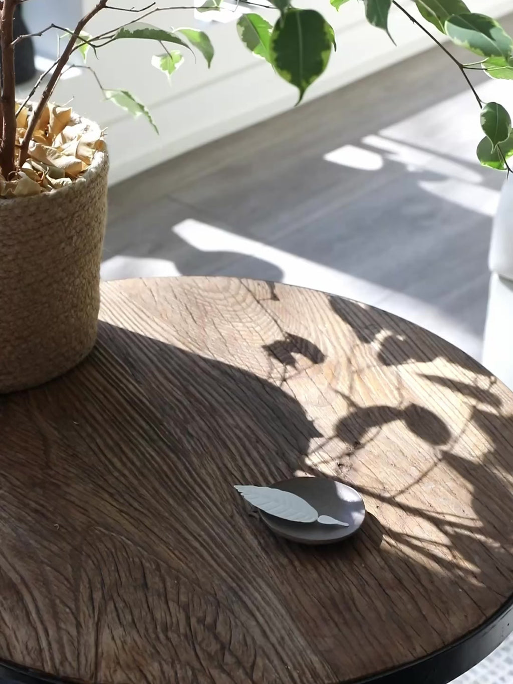 No.7 Elegance Citrus – HA KO Paper Incense