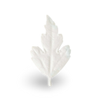 No.2 Agarwood – HA KO Paper Incense