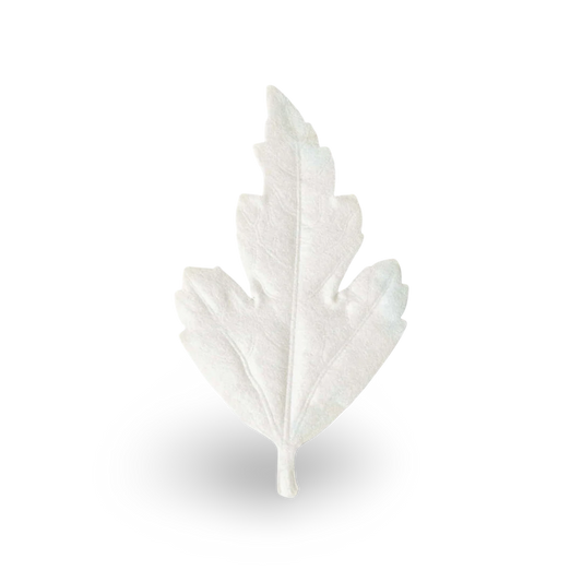 No.2 Agarwood, HA KO Paper Incense