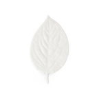 No.8 White Floral – HA KO Paper Incense