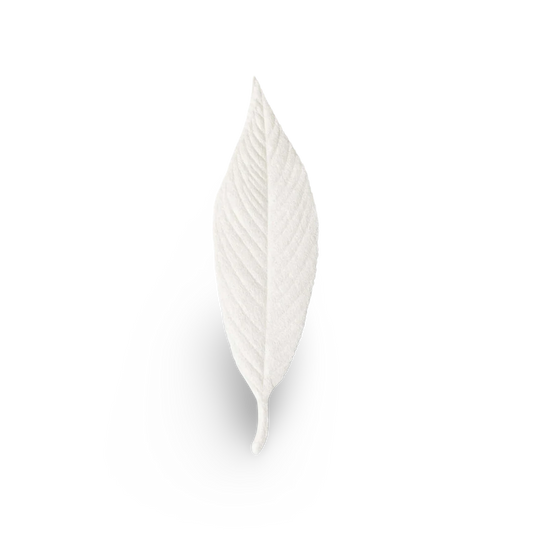 No.4 Moss, HA KO Paper Incense
