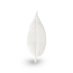 No.1 Sandalwood – HA KO Paper Incense