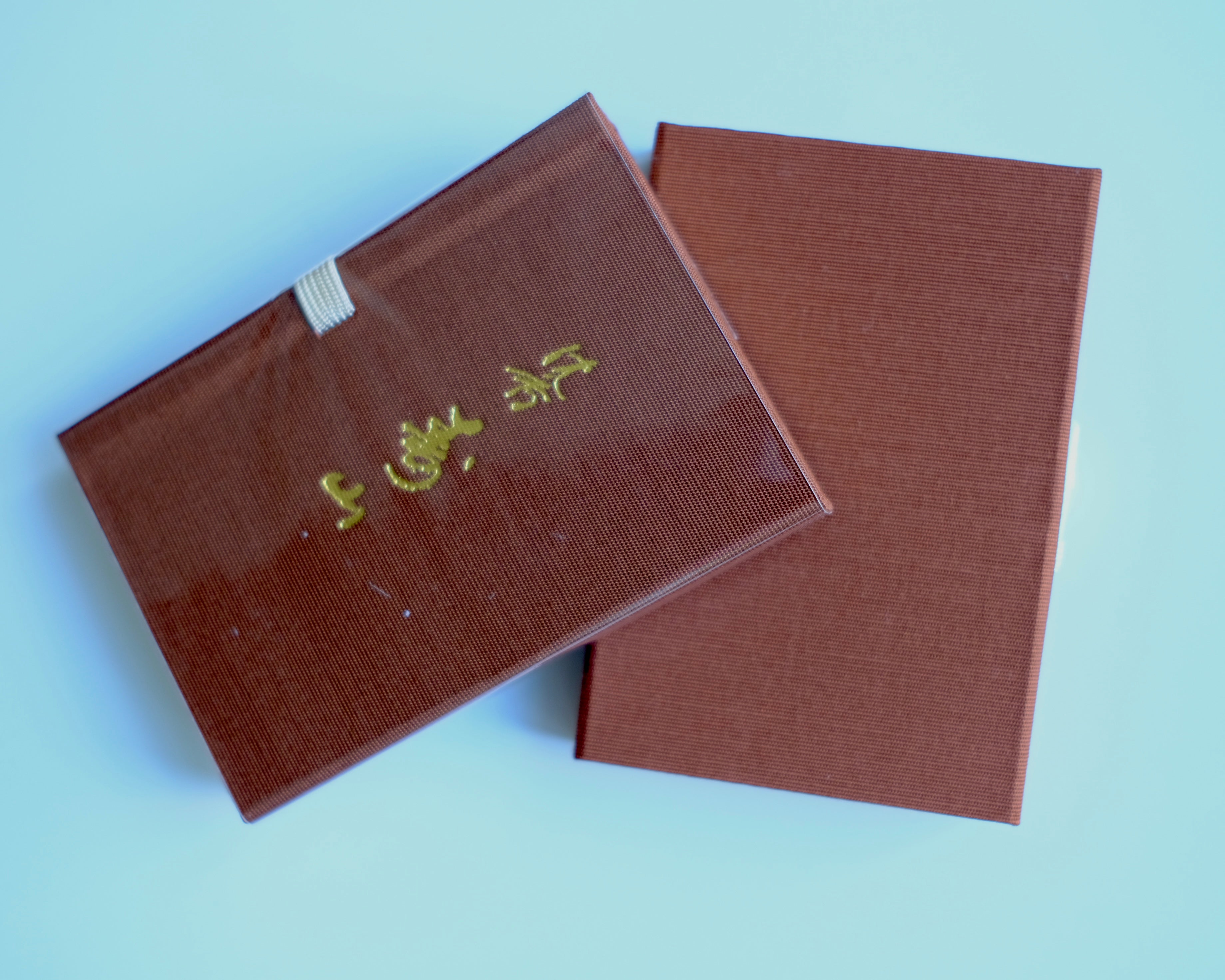 A front shot of two boxes of Jinkoh Juzan | 沈香寿山 incense, product image for shop darabara.com