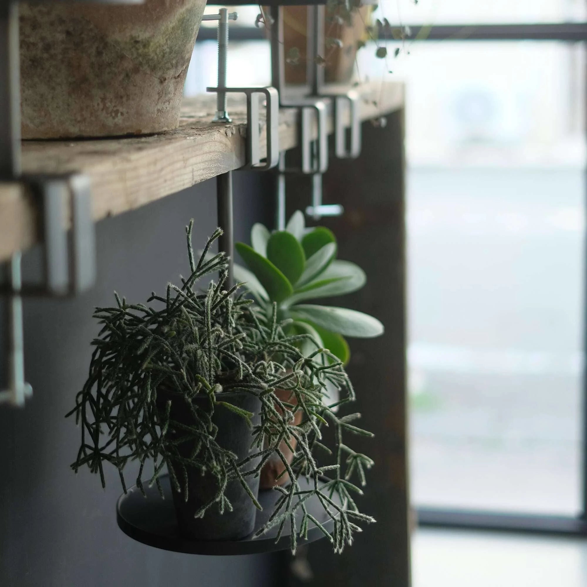 KINO (キノ) – Industrial Iron Clamping Display Tower (Small)