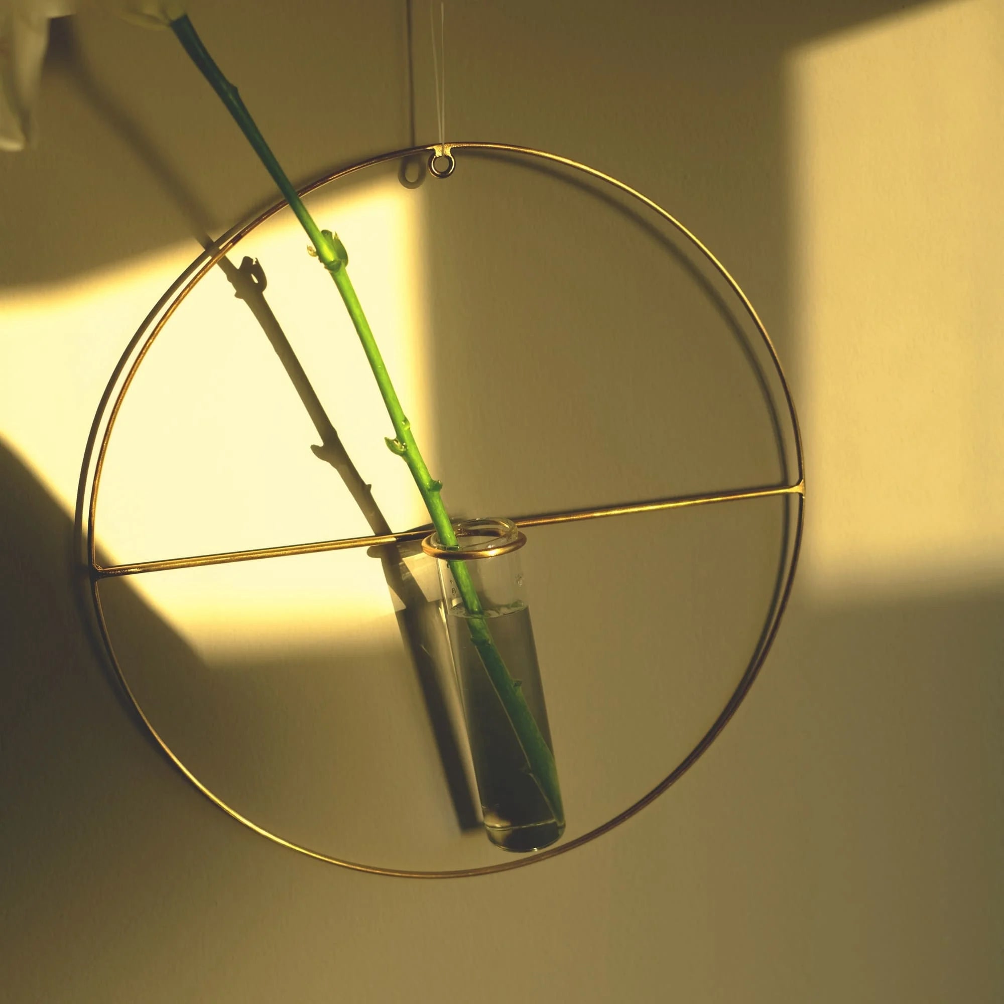 PIKE Wall – Round Brass Wire Flower Vase (Hanging)